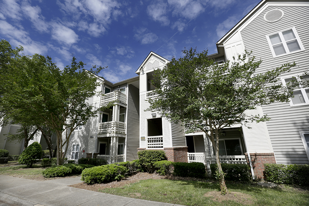 McMullen Wood Inlivian